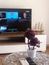 Апартаменты Apartments Albin Улцинь-4